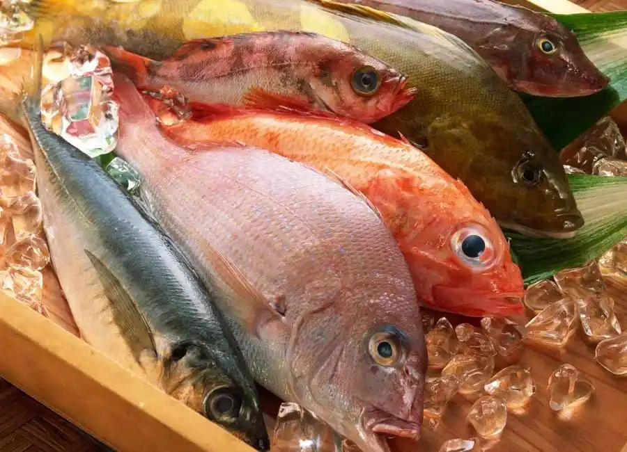 Cegah Kenaikan Harga Pangan Jelang Ramadan, BGN Ganti Telur dengan Ikan di Program MBG