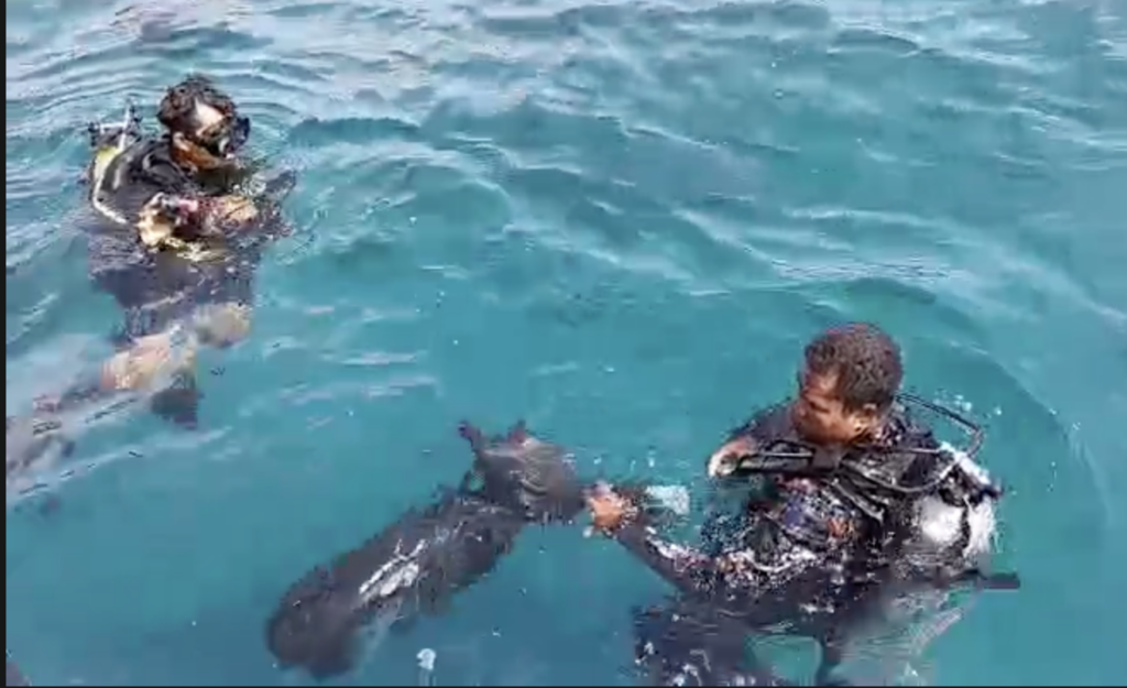 Tim SAR Gabungan Pakai Alat Sonar Cari Pelatih Valencia di Labuan Bajo Tim SAR gabungan terus mencari Pelatih Valencia Spanyol yang menjadi korban KM Putri Sakinah di Labuan Bajo (Istimewa)