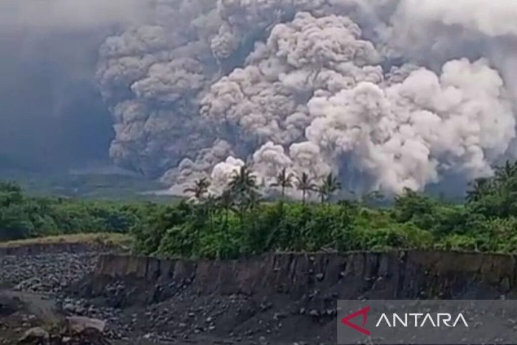 Gunung Semeru Erupsi di Awal Tahun, Kolom Abu Capai 900 Meter Luncuran awan panas dari erupsi Gunung Semeru di Penanggal, Lumajang, Jawa Timur, Rabu (19/11/2025). ANTARA/Video warga/aa.